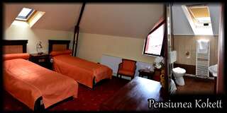 Гостевой дом Pension Kokett Кымпулунг Двухместный номер с 1 кроватью или 2 отдельными кроватями-7